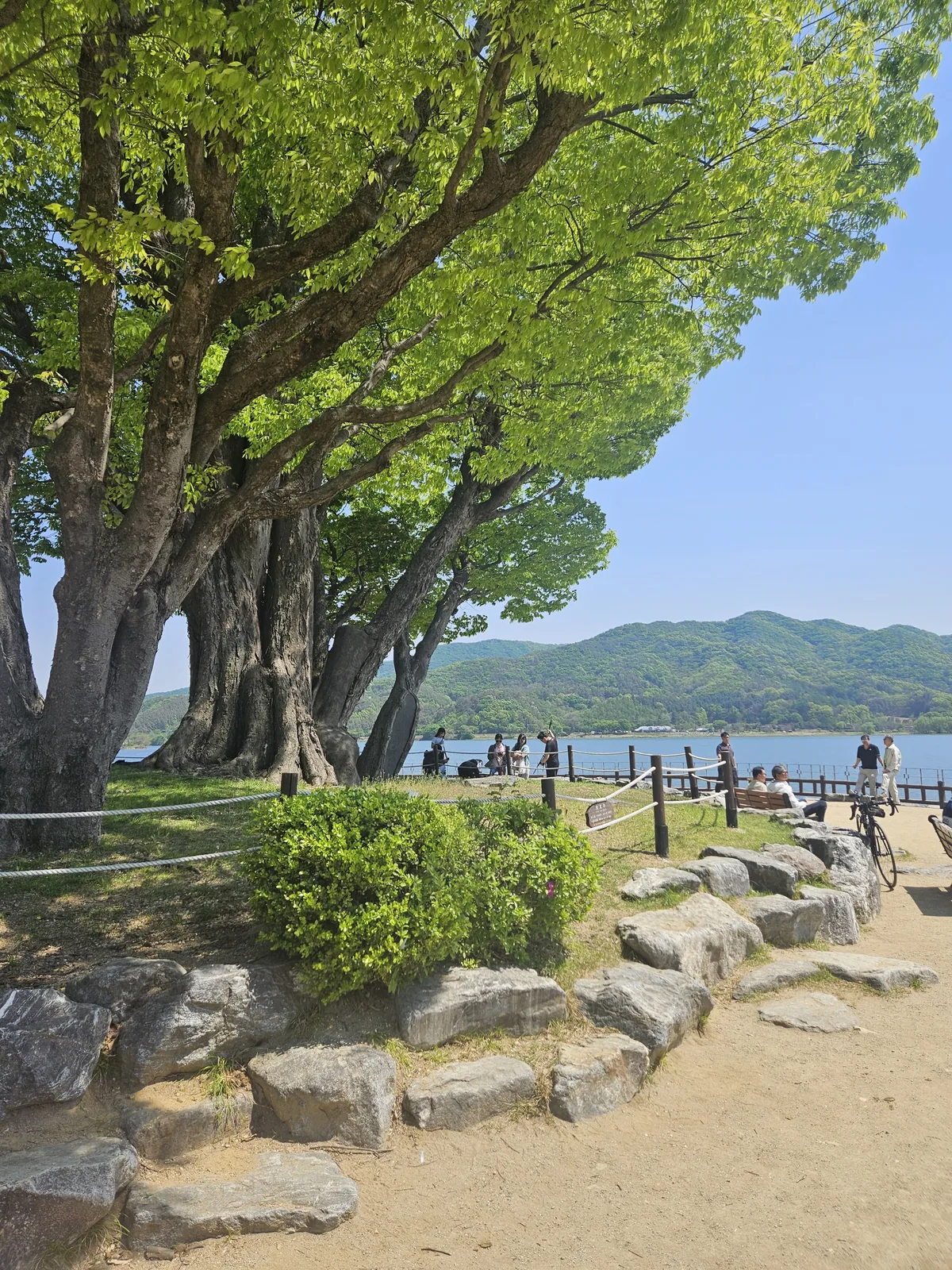 dumulmeori-yangpyeong-the-hidden-riverside-escape-only-local-01