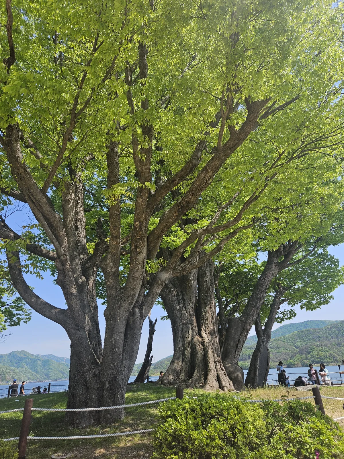dumulmeori-yangpyeong-the-hidden-riverside-escape-only-local-02