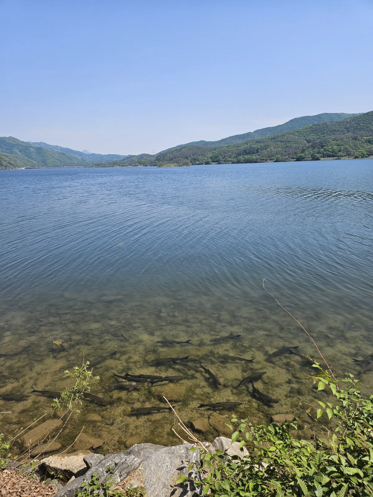dumulmeori-yangpyeong-the-hidden-riverside-escape-only-local-11
