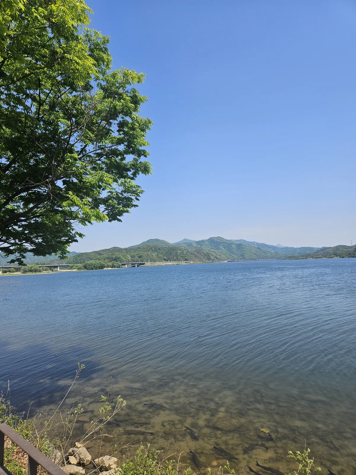 dumulmeori-yangpyeong-the-hidden-riverside-escape-only-local-12