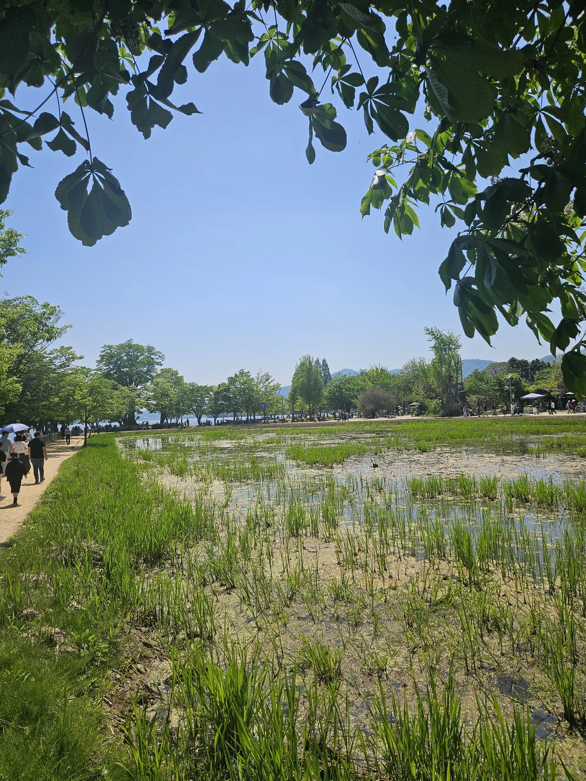 dumulmeori yangpyeong the hidden riverside escape only local 13