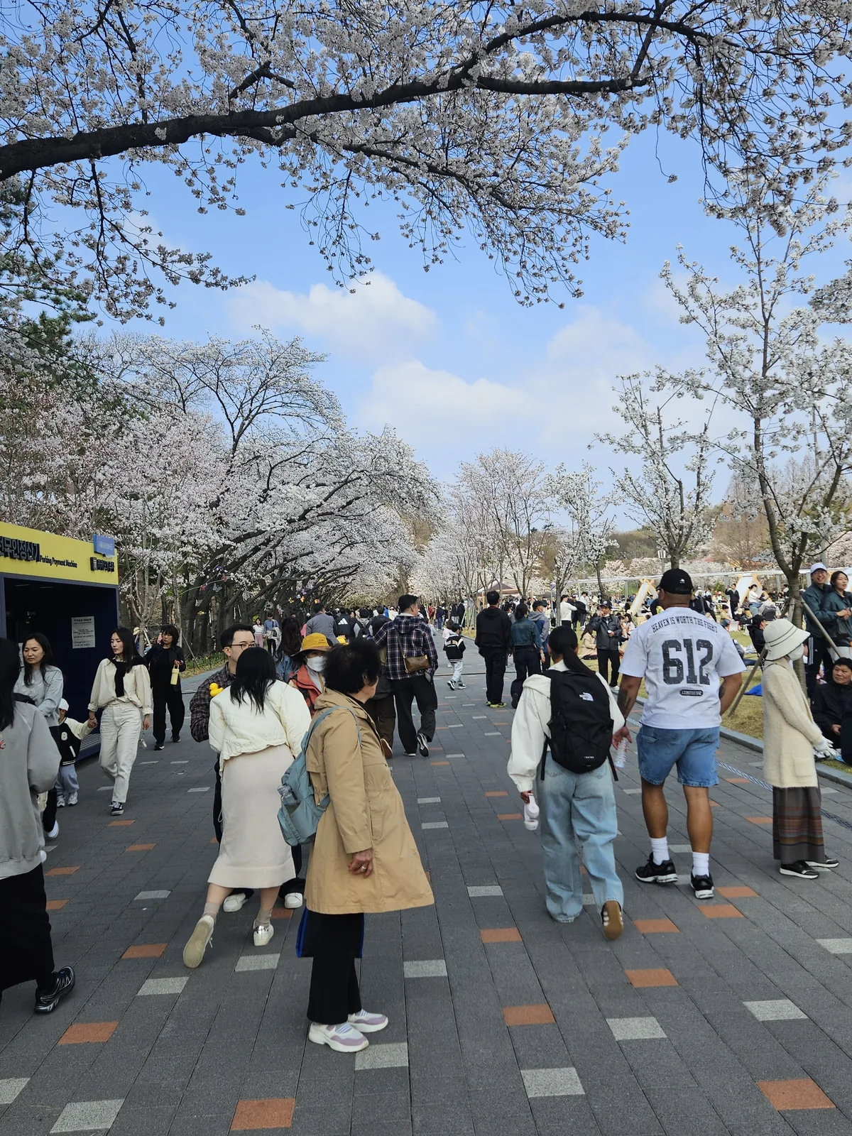 seoul grand park a day trip that actually surprised me 03