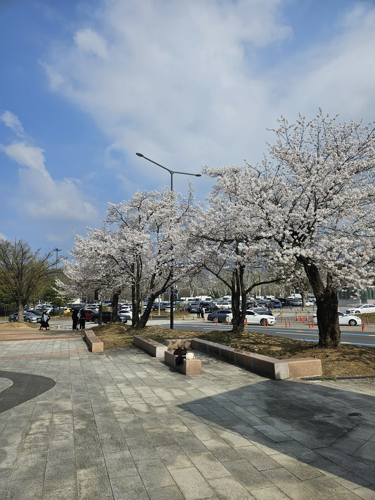 seoul grand park a day trip that actually surprised me 04