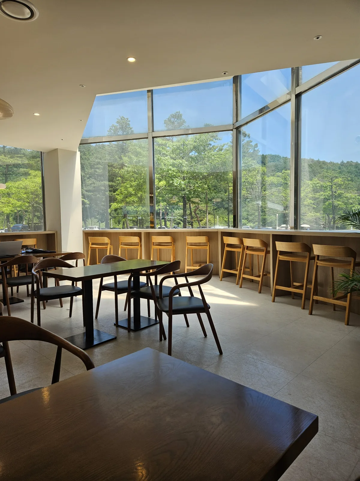 Forest-view counter seats at the Blue-dong cafe